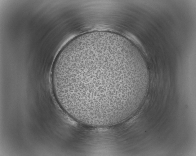 X0000063461190200602101706