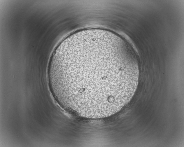 X0000063461191200602101706