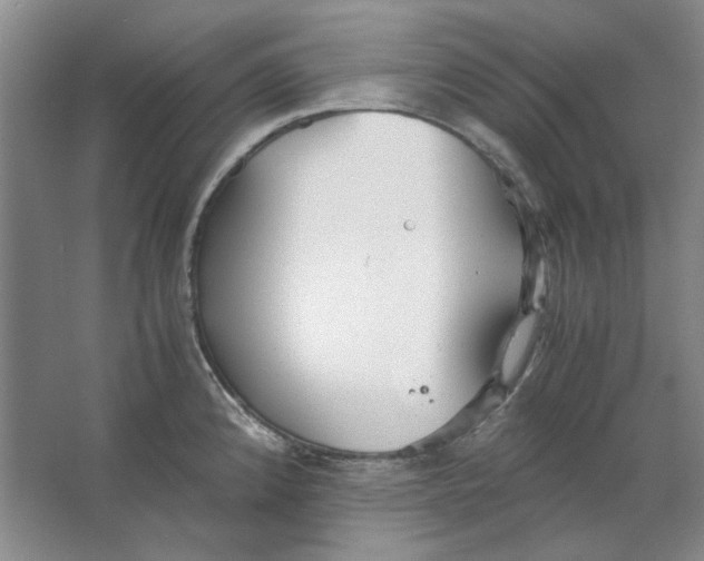 X0000063461192200602101706