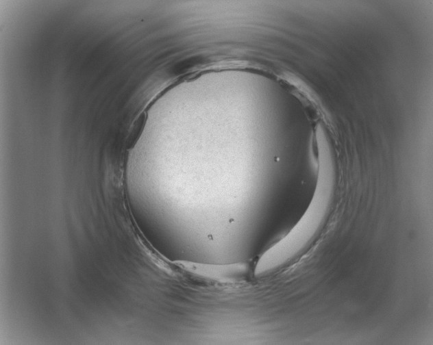 X0000063461193200602101706