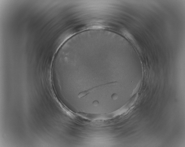 X0000063461194200602101706