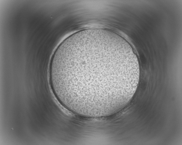 X0000063461195200602101706