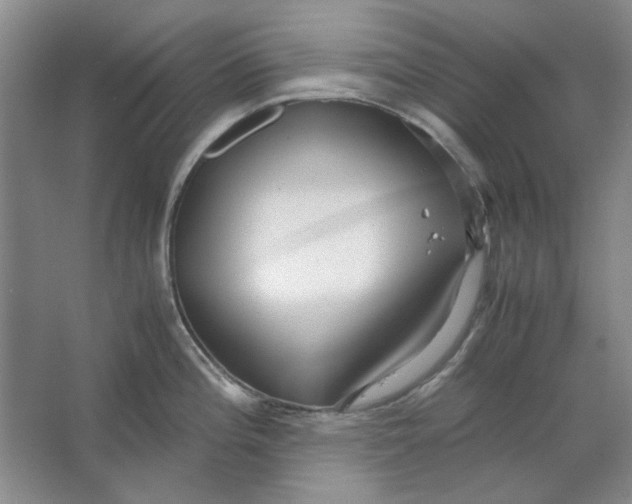 X0000063461196200602101706