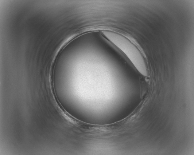 X0000063461197200602101706