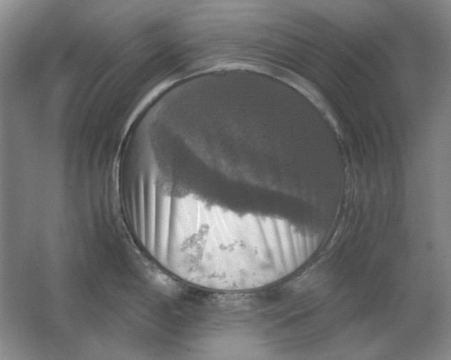 X0000063461198200602101706