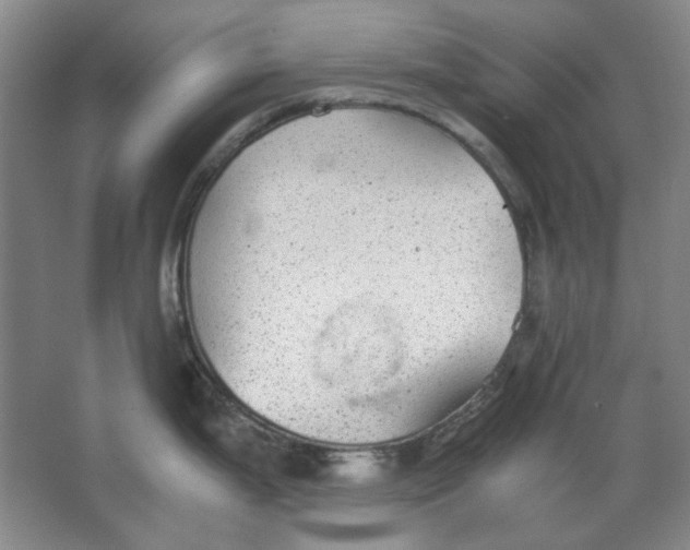 X0000063461199200602101706