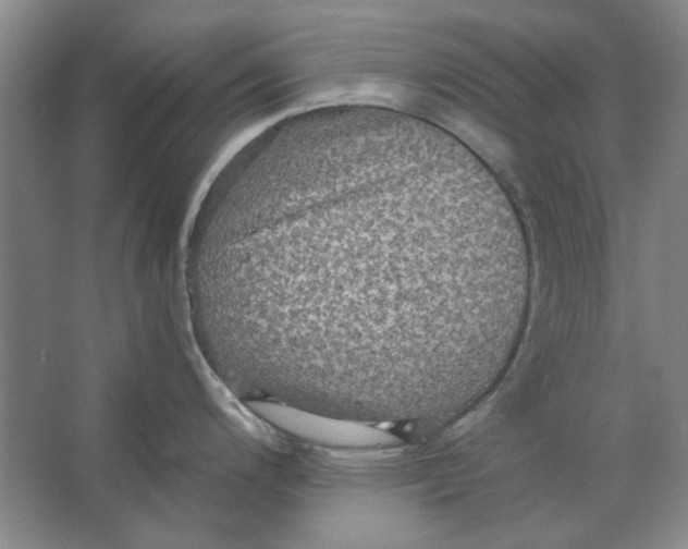 X0000063461200200602101706