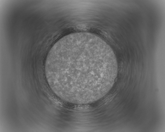 X0000063461201200602101705