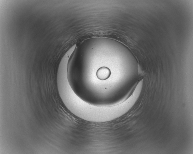 X0000063461202200602101705