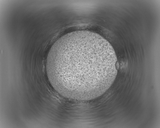 X0000063461204200602101705