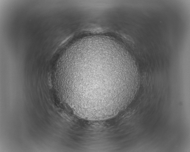 X0000063461205200602101705