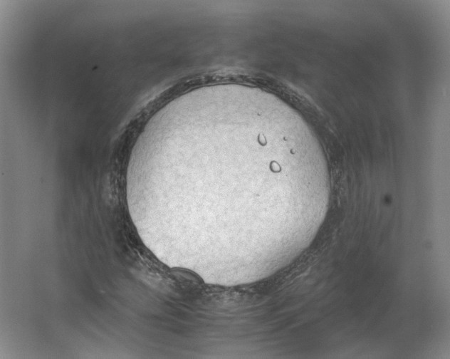 X0000063461207200602101705