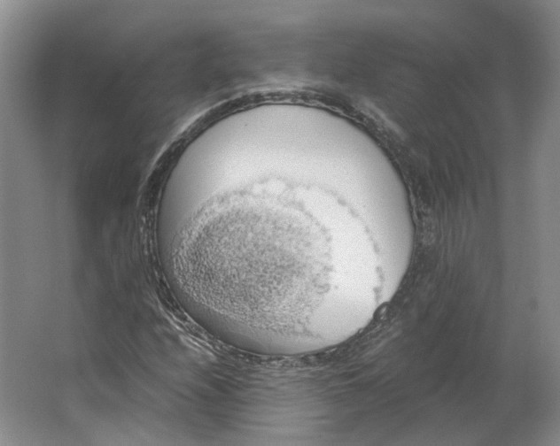 X0000063461208200602101705