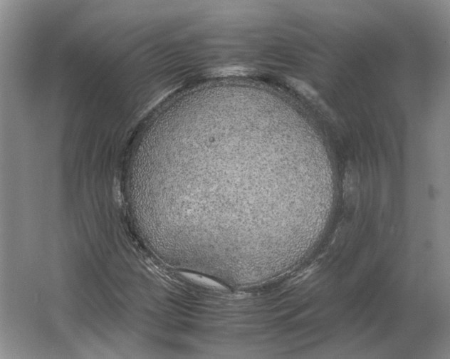 X0000063461209200602101705