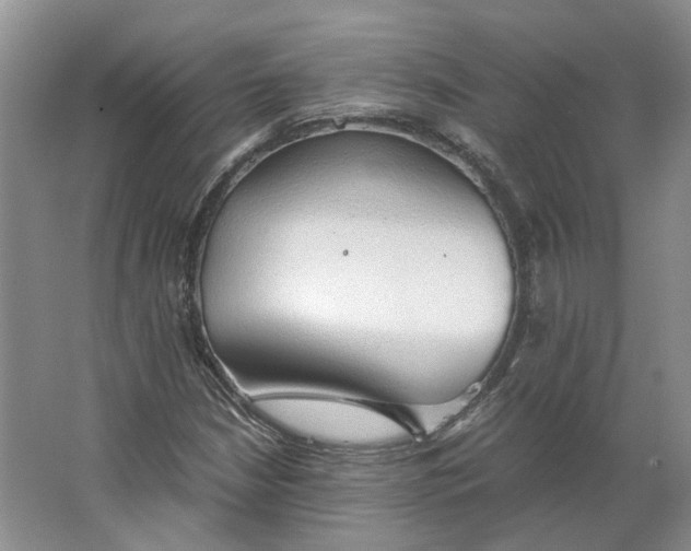 X0000063461210200602101705