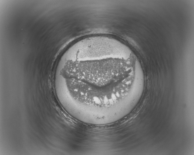 X0000063461212200602101705