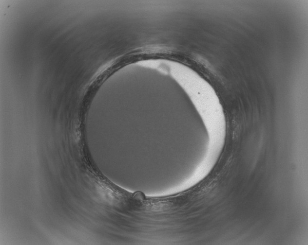 X0000063461213200602101705