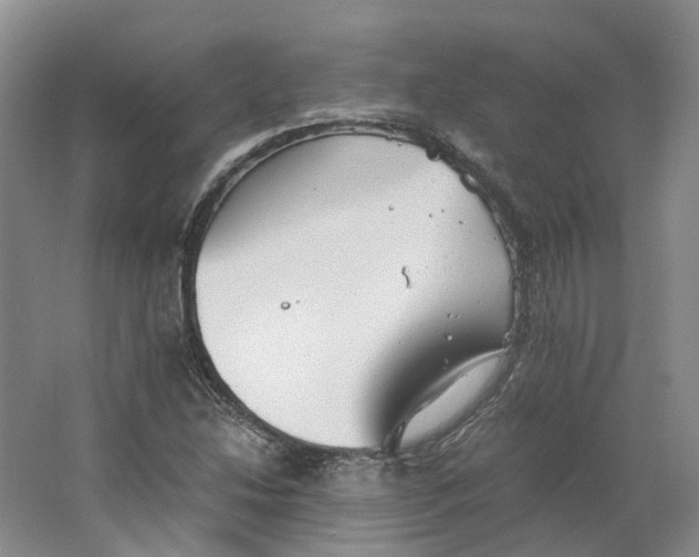 X0000063461214200602101705