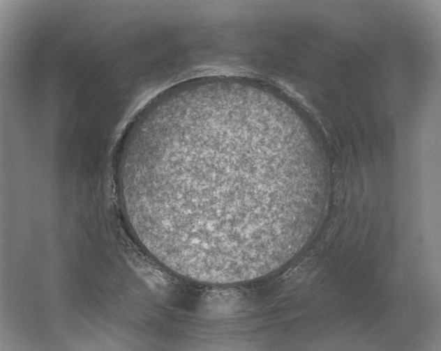 X0000063461215200602101705