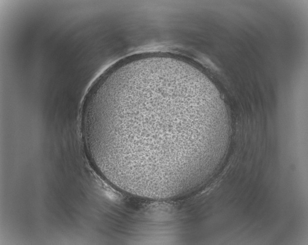 X0000063461216200602101706