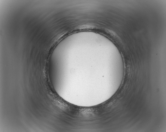 X0000063461217200602101706