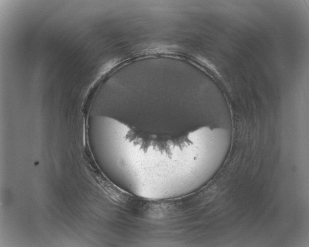 X0000063461219200602101706