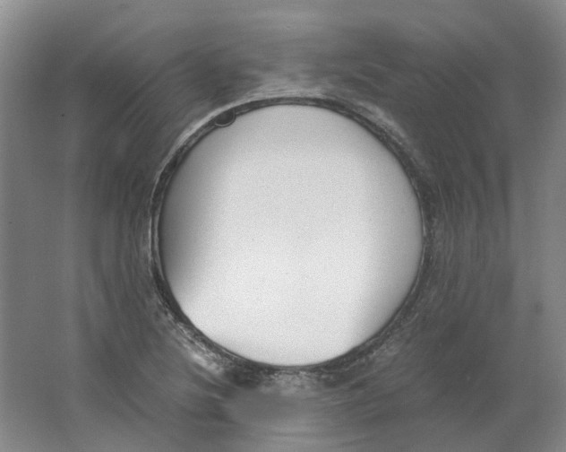 X0000063461220200602101706