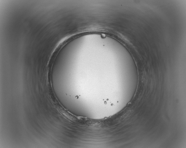 X0000063461222200602101706