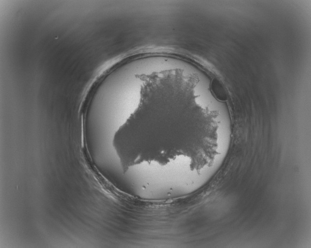 X0000063461223200602101706