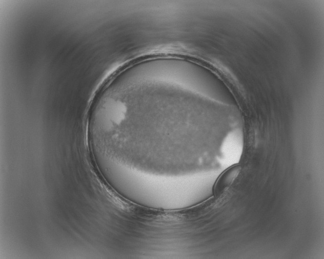 X0000063461224200602101706