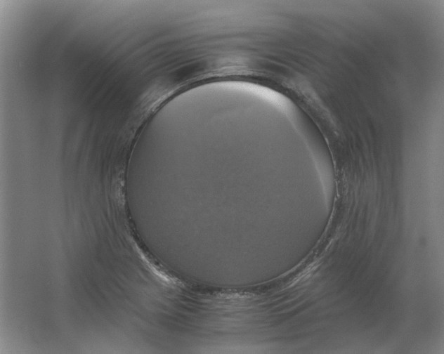 X0000063461225200602101706