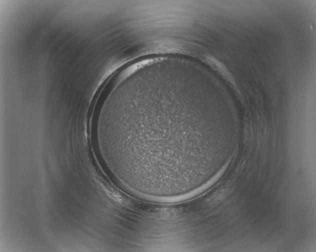 X0000063461226200602101706