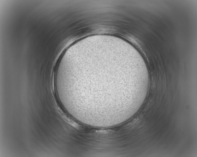 X0000063461227200602101706