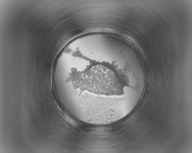 X0000063461228200602101706