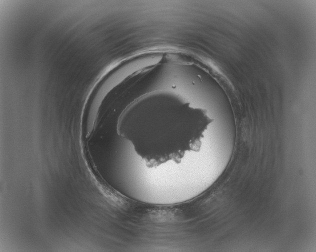 X0000063461229200602101706