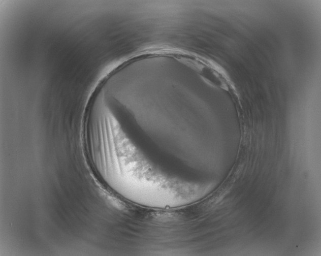 X0000063461231200602101706