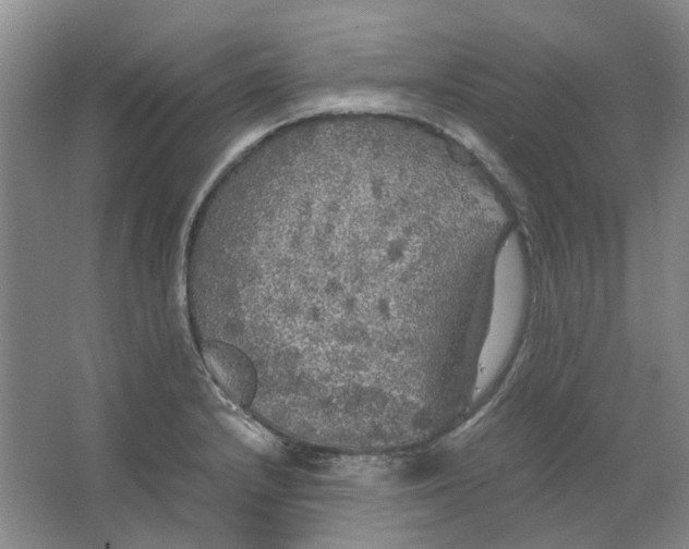 X0000063461232200602101706