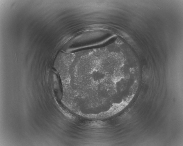 X0000063461233200602101706