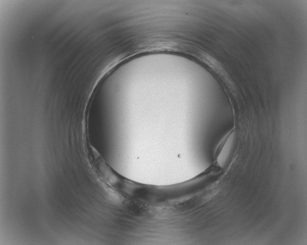 X0000063461234200602101706