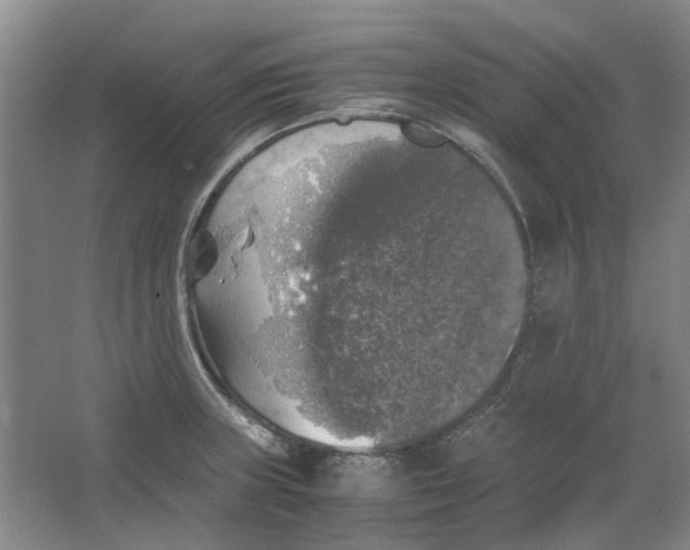 X0000063461235200602101706