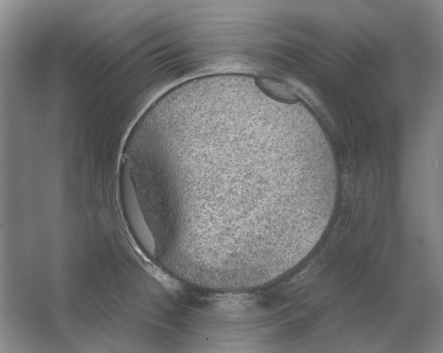 X0000063461236200602101706