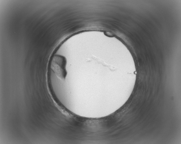 X0000063461237200602101706