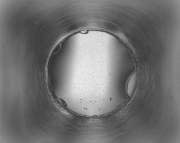 X0000063461238200602101706