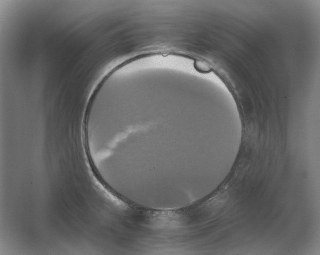 X0000063461239200602101706