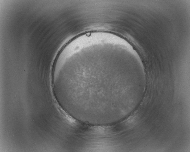 X0000063461240200602101706