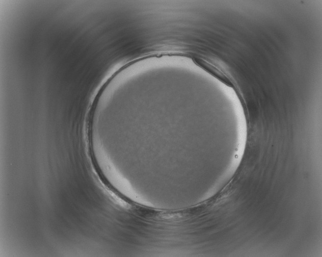 X0000063461243200602101706