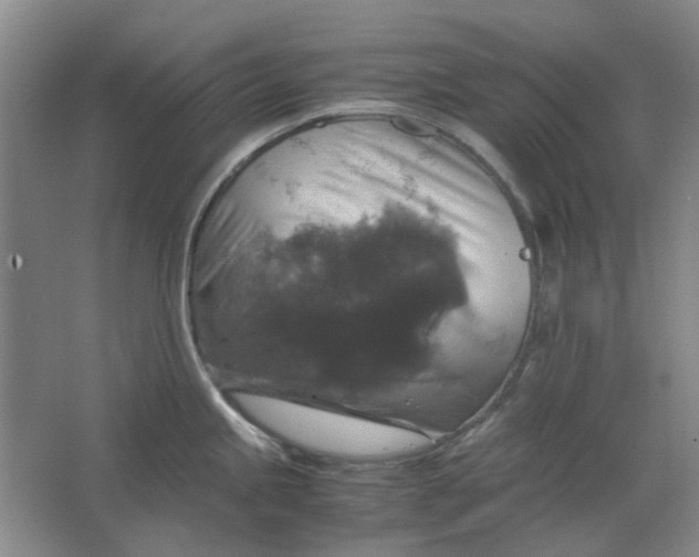 X0000063461245200602101706