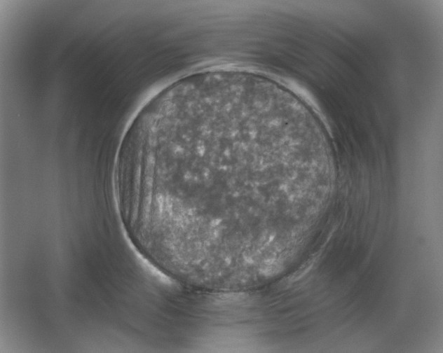 X0000063461247200602101706