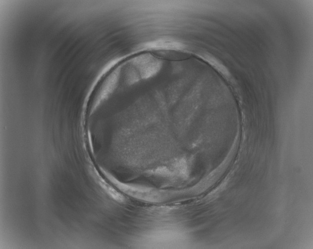 X0000063461248200602101706