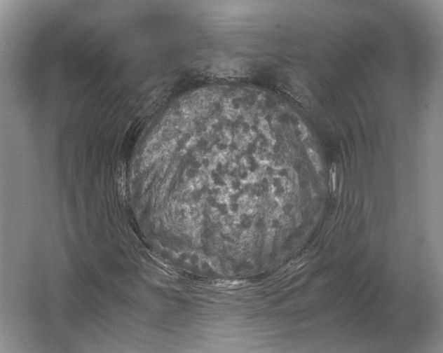 X0000063461251200602101705